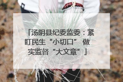 汤阴县纪委监委：紧盯民生“小切口” 做实监督“大文章”