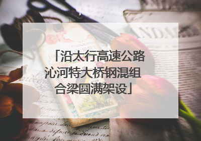沿太行高速公路沁河特大桥钢混组合梁圆满架设