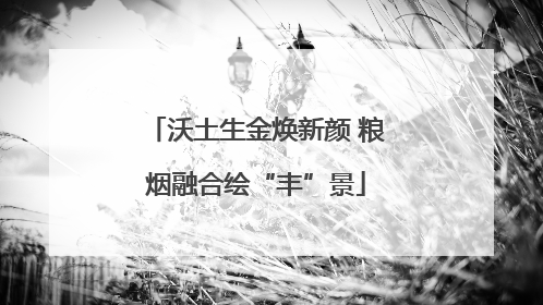 沃土生金焕新颜 粮烟融合绘“丰”景
