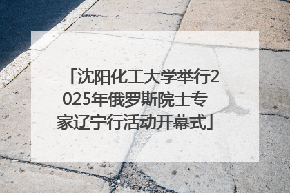 沈阳化工大学举行2025年俄罗斯院士专家辽宁行活动开幕式