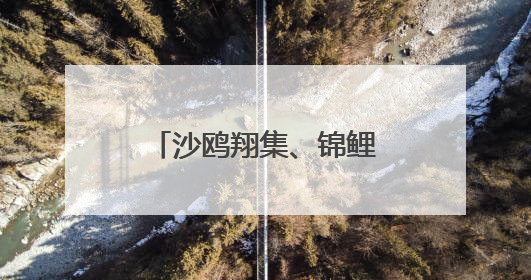 沙鸥翔集、锦鲤漫游：这处工业岸线变身生态长廊