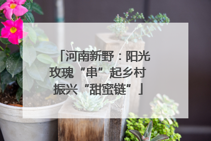 河南新野：阳光玫瑰“串”起乡村振兴“甜蜜链”