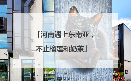 河南遇上东南亚，不止榴莲和奶茶