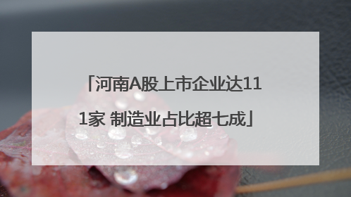 河南A股上市企业达111家 制造业占比超七成