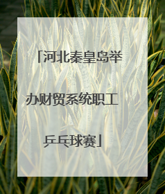 河北秦皇岛举办财贸系统职工乒乓球赛