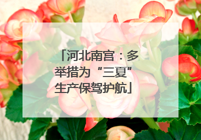 河北南宫：多举措为“三夏”生产保驾护航