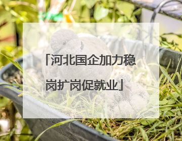 河北国企加力稳岗扩岗促就业
