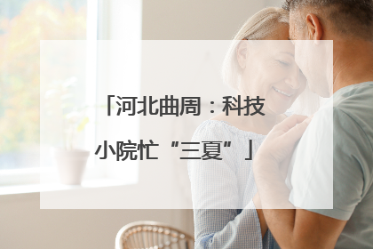 河北曲周：科技小院忙“三夏”