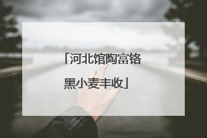 河北馆陶富铬黑小麦丰收