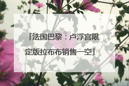 法国巴黎：卢浮宫限定版拉布布销售一空