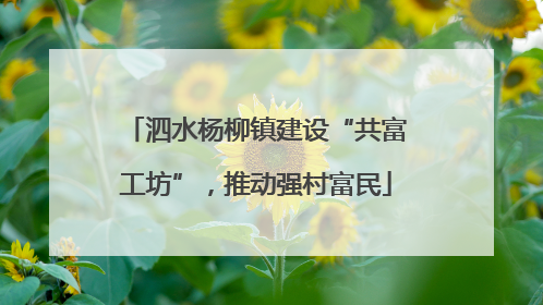 泗水杨柳镇建设“共富工坊”，推动强村富民