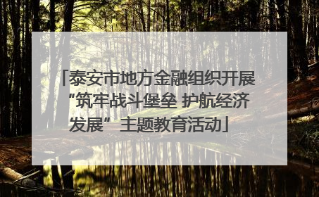 泰安市地方金融组织开展“筑牢战斗堡垒 护航经济发展”主题教育活动