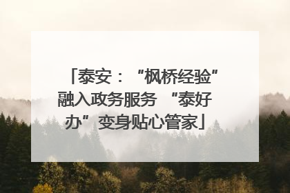 泰安：“枫桥经验”融入政务服务 “泰好办”变身贴心管家