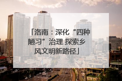 洛南：深化“四种陋习”治理 探索乡风文明新路径