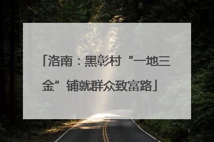 洛南：黑彰村“一地三金”铺就群众致富路