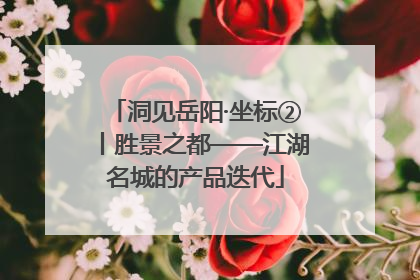 洞见岳阳·坐标②丨胜景之都——江湖名城的产品迭代