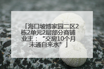 海口坡博家园二区2栋2单元2层部分商铺业主：“交房10个月未通自来水”