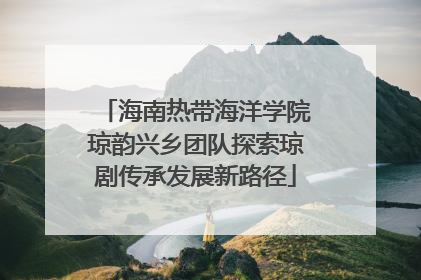 海南热带海洋学院琼韵兴乡团队探索琼剧传承发展新路径