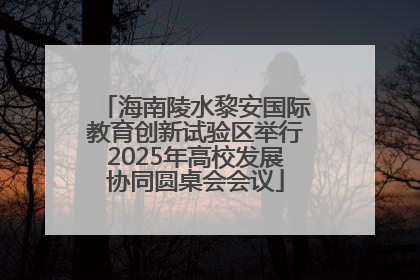 海南陵水黎安国际教育创新试验区举行2025年高校发展协同圆桌会会议