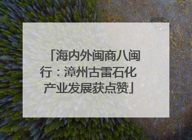 海内外闽商八闽行：漳州古雷石化产业发展获点赞