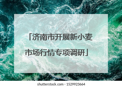 济南市开展新小麦市场行情专项调研
