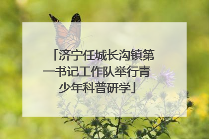 济宁任城长沟镇第一书记工作队举行青少年科普研学