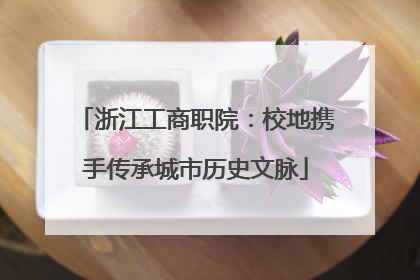 浙江工商职院：校地携手传承城市历史文脉