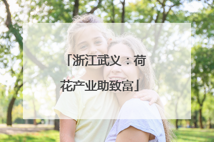 浙江武义：荷花产业助致富