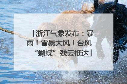 浙江气象发布：暴雨！雷暴大风！台风“蝴蝶”残云抵达