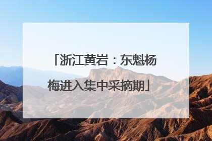 浙江黄岩：东魁杨梅进入集中采摘期