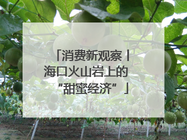 消费新观察丨海口火山岩上的“甜蜜经济”