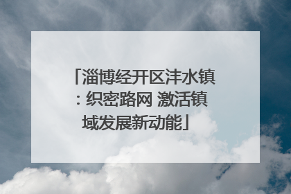 淄博经开区沣水镇：织密路网 激活镇域发展新动能