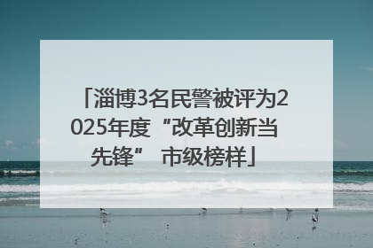 淄博3名民警被评为2025年度“改革创新当先锋” 市级榜样