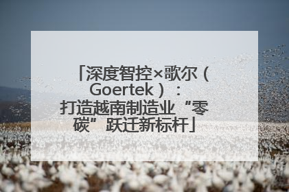 深度智控×歌尔（Goertek）：打造越南制造业“零碳”跃迁新标杆