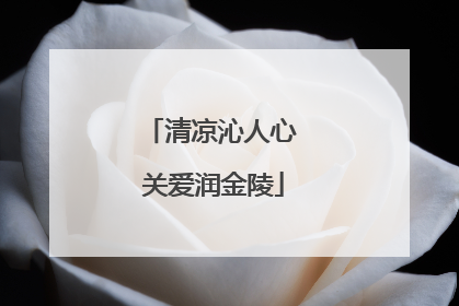 清凉沁人心 关爱润金陵