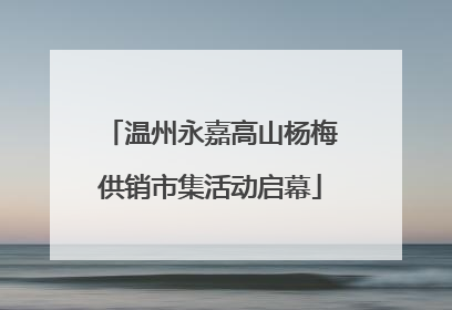 温州永嘉高山杨梅供销市集活动启幕