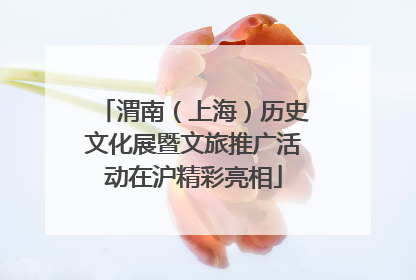 渭南（上海）历史文化展暨文旅推广活动在沪精彩亮相