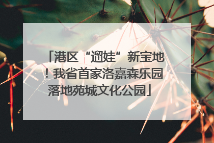 港区“遛娃”新宝地！我省首家洛嘉森乐园落地苑城文化公园