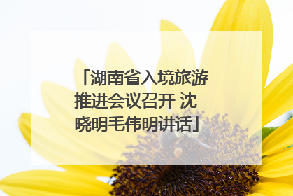 湖南省入境旅游推进会议召开 沈晓明毛伟明讲话