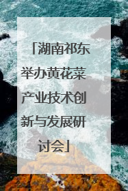 湖南祁东举办黄花菜产业技术创新与发展研讨会