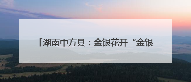 湖南中方县：金银花开“金银”来 特色产业赋能乡村振兴