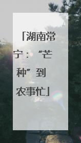 湖南常宁：“芒种”到 农事忙