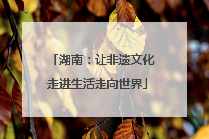 湖南：让非遗文化走进生活走向世界