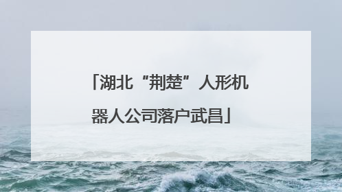 湖北“荆楚”人形机器人公司落户武昌