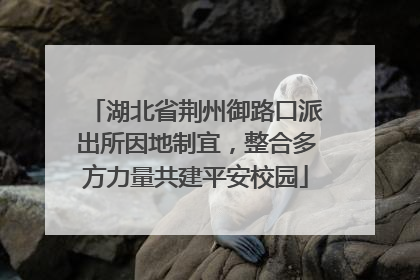 湖北省荆州御路口派出所因地制宜，整合多方力量共建平安校园