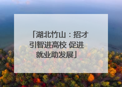 湖北竹山：招才引智进高校 促进就业助发展