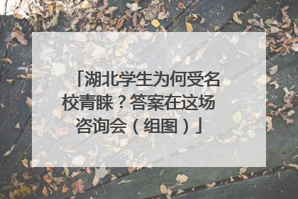 湖北学生为何受名校青睐？答案在这场咨询会（组图）