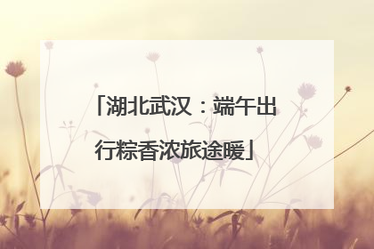 湖北武汉：端午出行粽香浓旅途暖