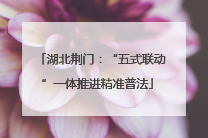 湖北荆门：“五式联动”一体推进精准普法