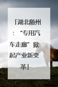 湖北随州：“专用汽车走廊”掀起产业新变革